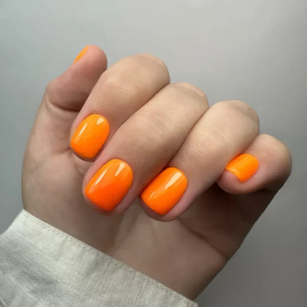 EVO Gel 054 Gusti