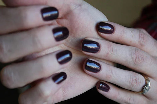 14ml GEMINI No 2031 Black Aubergine