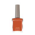 14ml GEMINI No 290 Island Clay