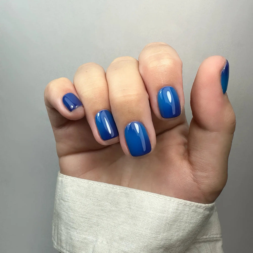 EVO Gel 055 Zara