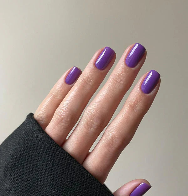 EVO Gel 083 Anelda